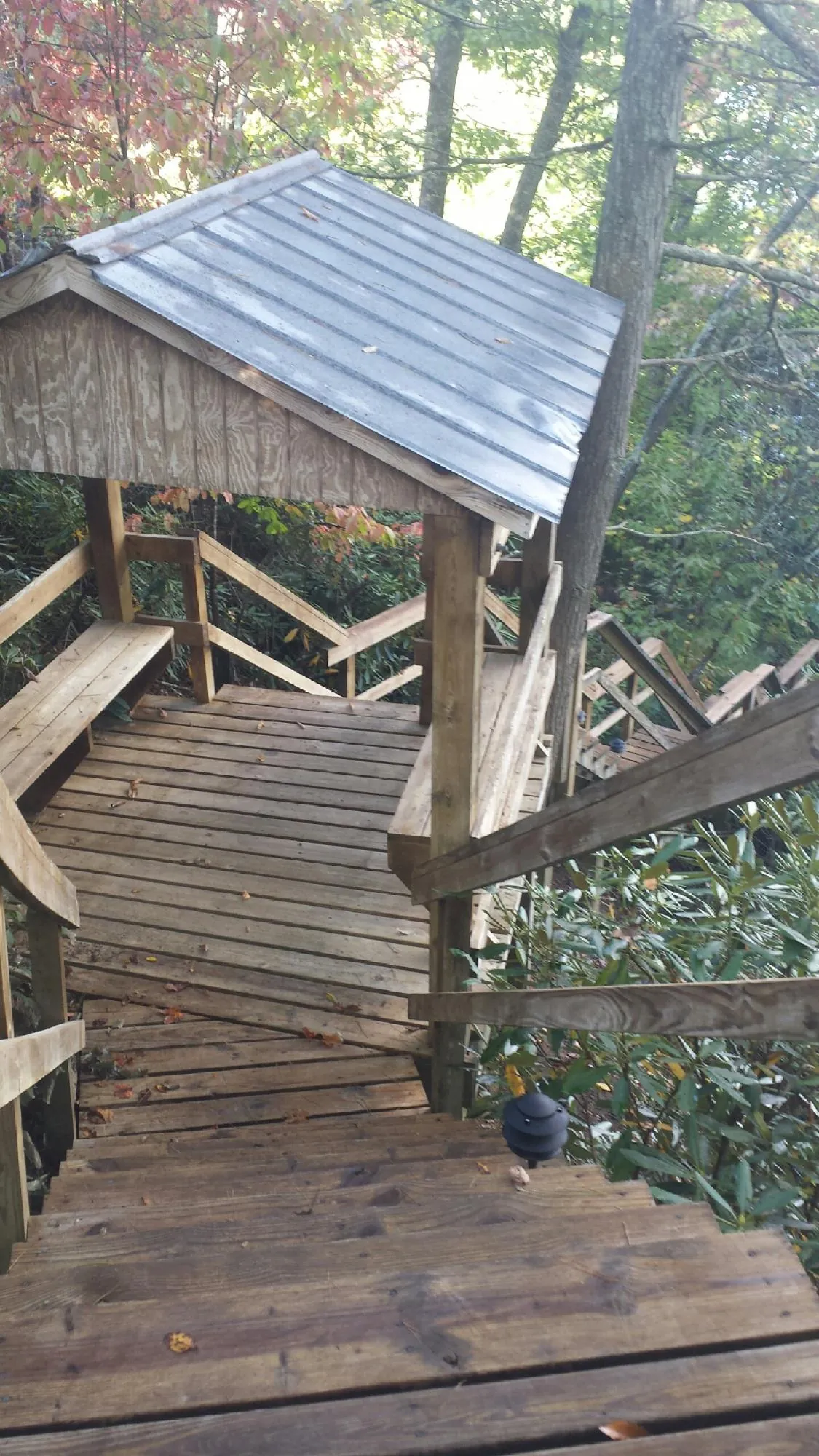 Metal roofed shelter over wooden steps on a wooded walkway — Skylight Repair & Installation work by our crew in Camp Murray