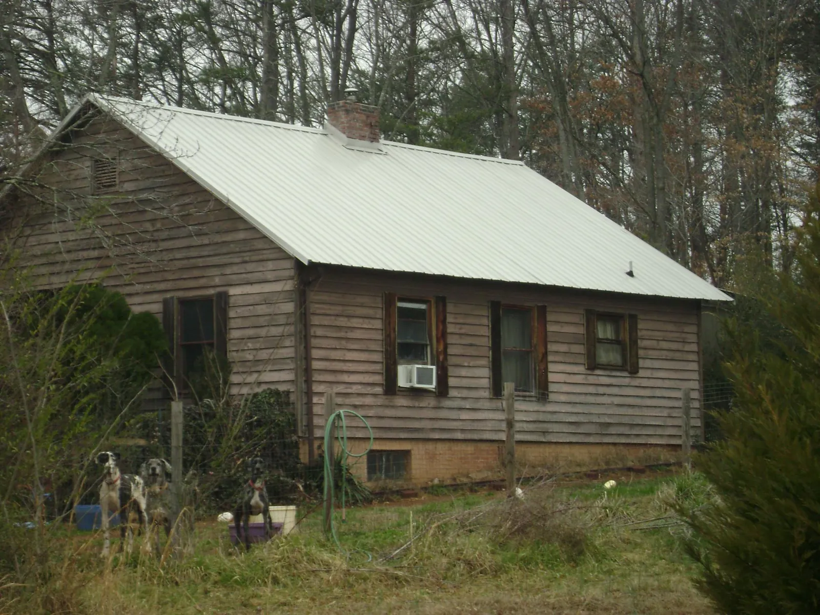 White metal roof on an old wood sided farmhouse, from a Metal Roof Installation job in Camp Murray
